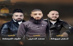 الأمم المتحدة تتجنب ادانة جريمة الاحتلال ضد شهداء نابلس