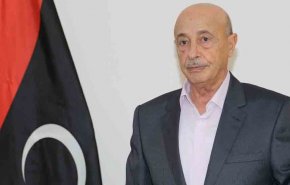 مجلس النواب الليبي يعين فتحي باشاغا رئيسا للحكومة 