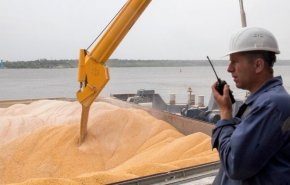 مخاوف مصرية من تداعيات ازمة اوكرانيا على صادرات القمح