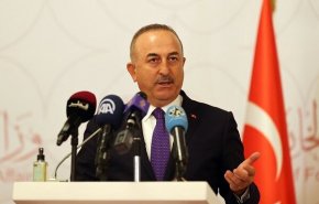 سفر وزیر خارجه ترکیه به امارات