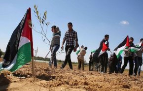 اليوم يوم الأرض .. ذاكرة الفلسطينيين حية والمواجهة مستمرة