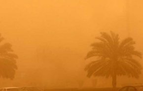 عاصفة ترابية تفتك بالمحاصيل وتهدد إنتاج العراق المحلي