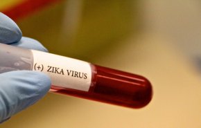 تحديد طفرة في فيروس زيكا يمكن أن تجعله أكثر عدوى ومقاومة للمناعة المكتسبة