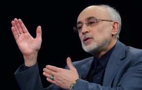 علی اکبر صالحی: اگر موضع منطقی ایران نبود، برجام فسخ شده بود

