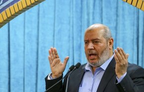 نایب رئیس جنبش حماس: درختی که حاج قاسم کاشت در حال بارور شدن است
