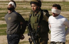 اعتقال شقيقين فلسطينيين من بلدة حلحول شمال الخليل