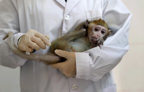 أستراليا.. تسجيل أول حالة إصابة محتملة بجدري القرود