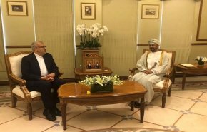 وزير النفط الإيراني يلتقي وزير خارجية عمان في مسقط