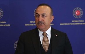 رسانه صهیونیست؛ وزیر خارجه ترکیه وارد اسرائیل شد