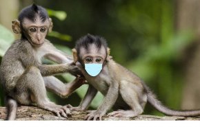 أمريكا تسجل 9 إصابات بجدري القرود 
