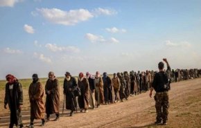 عراق ۵۰ داعشی را از «قسد» تحویل گرفت
