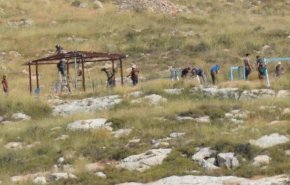 مستوطنون يشرعون ببناء معرش في منطقة الفارسية بالأغوار الشمالية