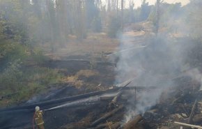 حريق ضخم بمنطقة الغابات في نينوى