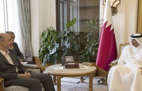 رئيس مجلس الوزراء القطري يستقبل وزير الطاقة الإيراني