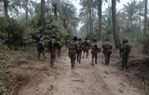 الأمن العراقي يلقي القبض على 4 دواعش في السليمانية وبغداد