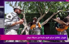 طهران.. اطلاق سراح طيور جارحة من حديقة حيوان