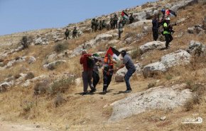 ۱۲ فلسطینی در جریان درگیری با صهیونیست‌ها زخمی شدند