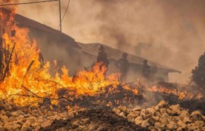 حرائق الغابات في المغرب: وفاة مواطن والنيران تلتهم 900 هكتار وبعض المنازل