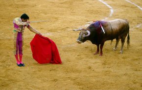 مصارعة الثيران في اسبانيا