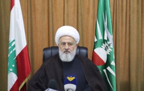 مجلس شيعة لبنان يناشد قوى العراق السياسية لحل خلافاتها