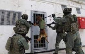 الاحتلال يعتدي على الأسرى الفلسطينيين في سجن ’ريمون’