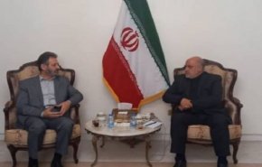 ممثل الجهاد الإسلامي يبحث مع السفير الإيراني في لبنان تطورات الأوضاع في فلسطين