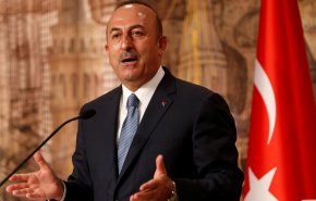 تركيا تندد بقرار أمريكي يرفع حظر الأسلحة عن ـقبرص

