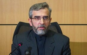 باقري: لن نتحمل انتهاك حقوق الإيرانيين في أي مكان بالعالم