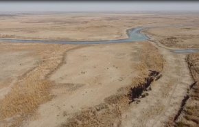 شاهد.. معاناة أهالي الاهوار في جنوب العراق جراء قلة المياه