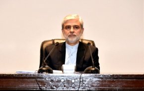 السفير الإيراني لدى باكستان: المعركة المشتركة ضد الإرهاب توحد المنطقة