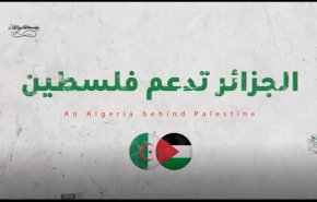 موشن جرافيك: فلسطين مع المنتخب الكروي الجزائري في أي مباراة