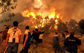 حريق في غابة جزائرية يقضي على هكتارين من المساحات الخضراء