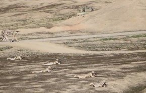 حرس الحدود الايراني يجري مناورات على حدود محافظة كلستان