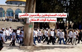 عشرات المستوطنين يقتحمون الأقصى بحماية قوات الاحتلال