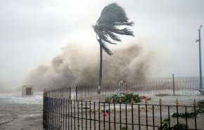 انقطاع الكهرباء عن عشرات الآلاف من المنازل في نيوزيلندا بسبب عاصفة استوائية