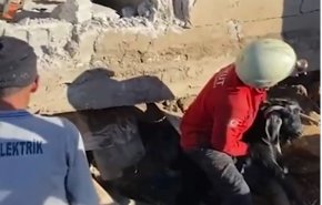 فرق الإنقاذ التركية تنقذ 24 شاة من تحت الأنقاض بعد 17 يوما من الزلزال