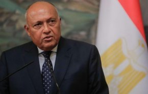 وزير الخارجية المصري يؤكد على التضامن مع سورية والاستعداد لمواصلة دعمها