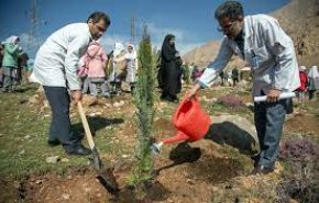 ايران تحطّم الرقم القياسي العالمي في زرع الأشجار