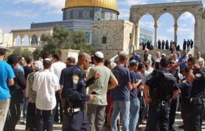 اعتصاب سراسری در فلسطین اشغالی/ تعدی شهرک نشینان صهیونیست به مسجد الاقصی
