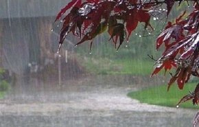 رگبار باران، رعدوبرق و وزش باد در کشور