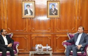 وزير الخارجية الايراني يؤكد على أهمية وحدة تراب اليمن