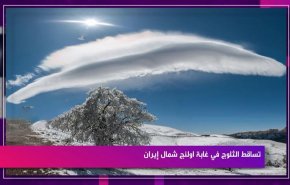 تساقط الثلوج في غابة اولنج شمال ايران