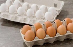 هل البيض البني صحي أكثر من الأبيض؟
