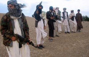 طالبان: خواهان جنگ با همسایگان نیستیم
