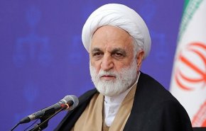 القضاء الايراني: بامكان الكثير من الرعايا الايرانيين في الخارج العودة إلى الوطن