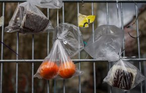 احذر من المواد البلاستيكية المعاد تدويرها الملامسة للأغذية 