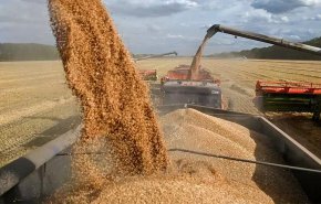 الامم المتحدة تدعو الى تسريع صادرات الحبوب من الموانئ الاوكرانية