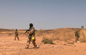القبض على كبار إرهابيي 'داعش' في النيجر
