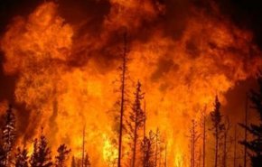 فیلم| آتش‌سوزی گسترده در جنگل‌های هاتای ترکیه
