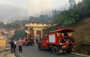 وفاة 15 شخصا وإصابة 26 آخرين جراء حرائق الغابات في الجزائر